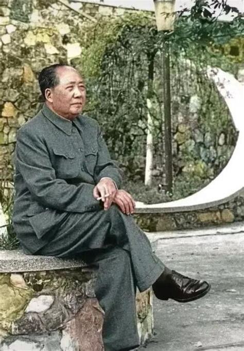 放提 意思